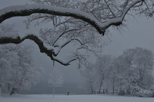 Au petit matin