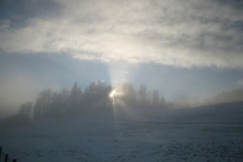 Brouillard