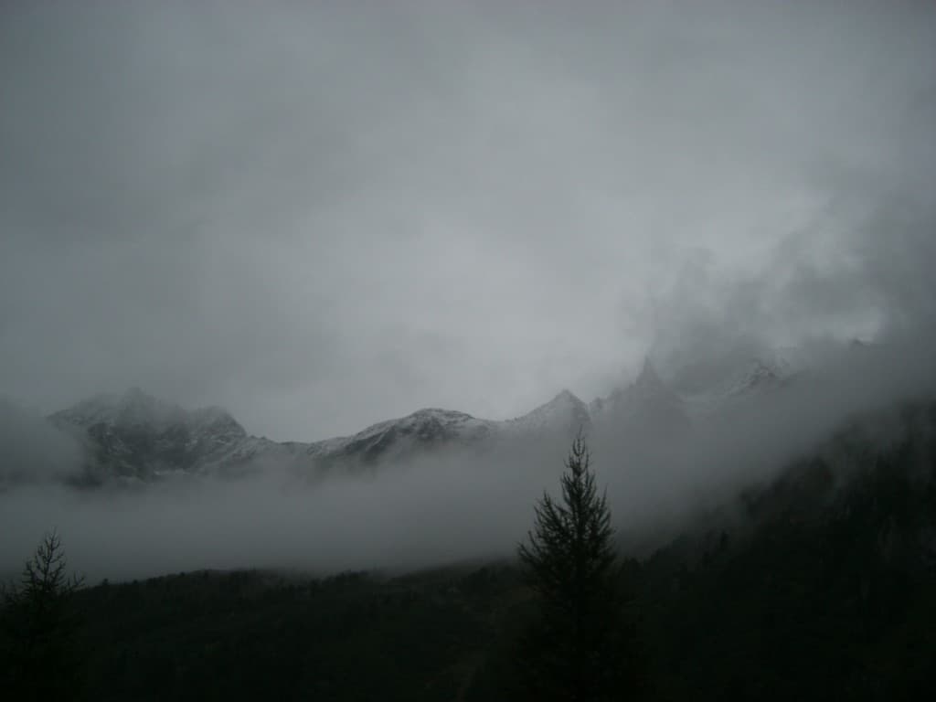 l'aiguille de la tsa