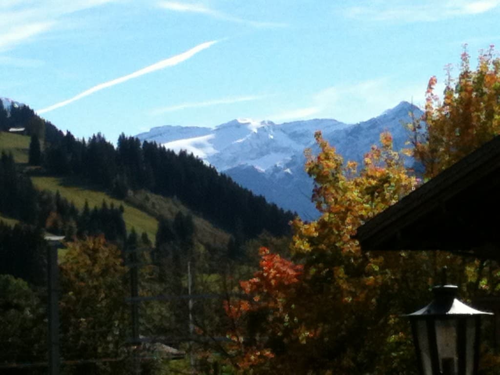 LES ALPES VAUDOISE