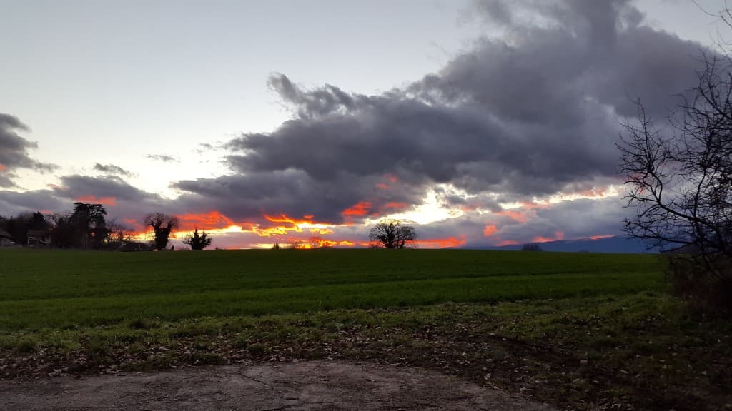 Feu de Campagne