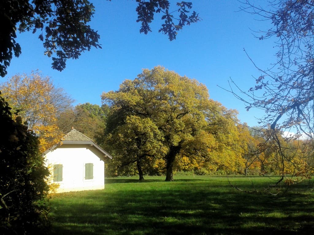 Automne tardif