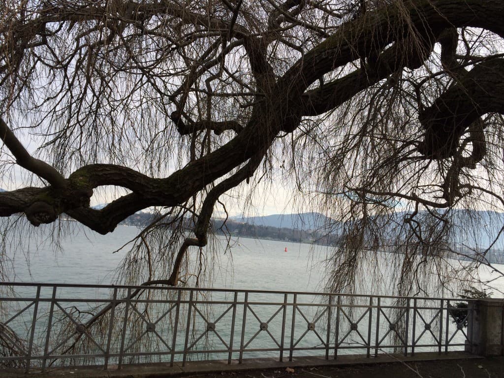 Perle du lac le