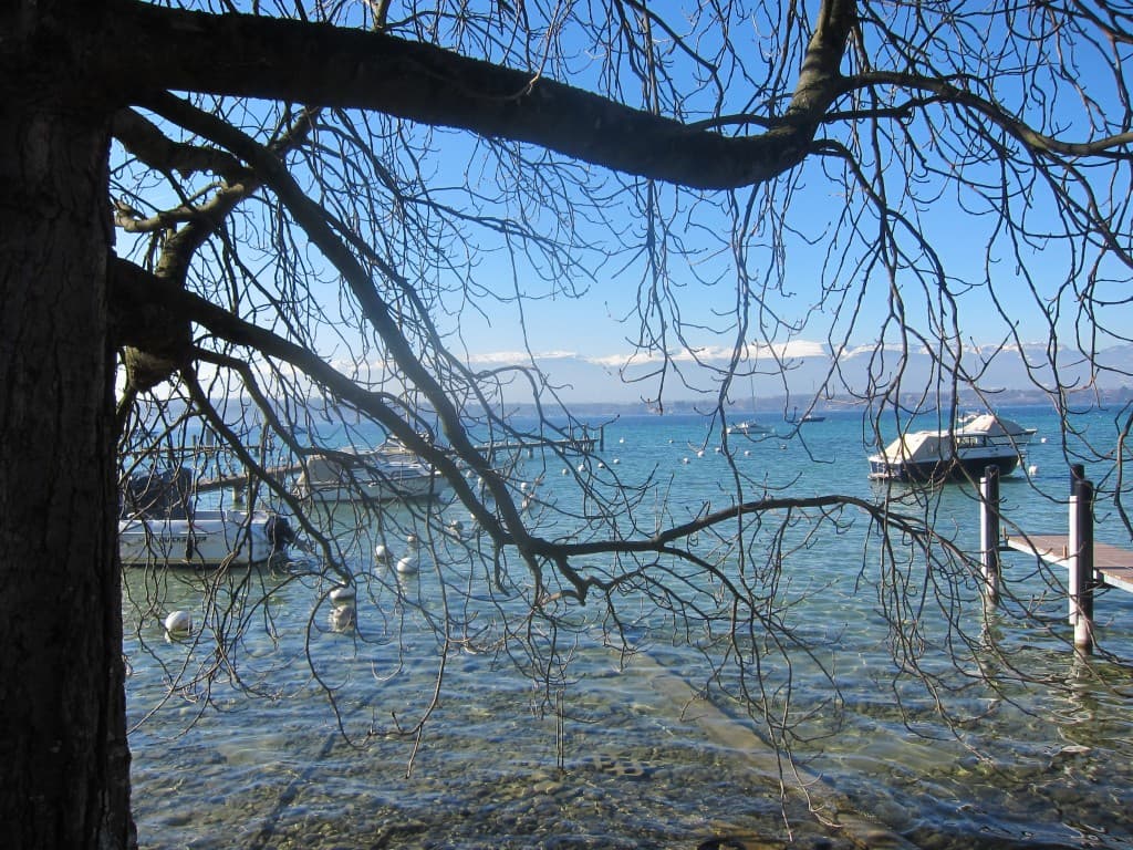 Un dimanche après-midi magique