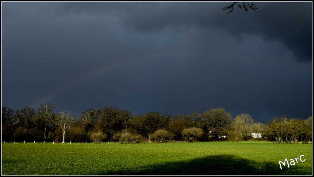 Arc en ciel timide