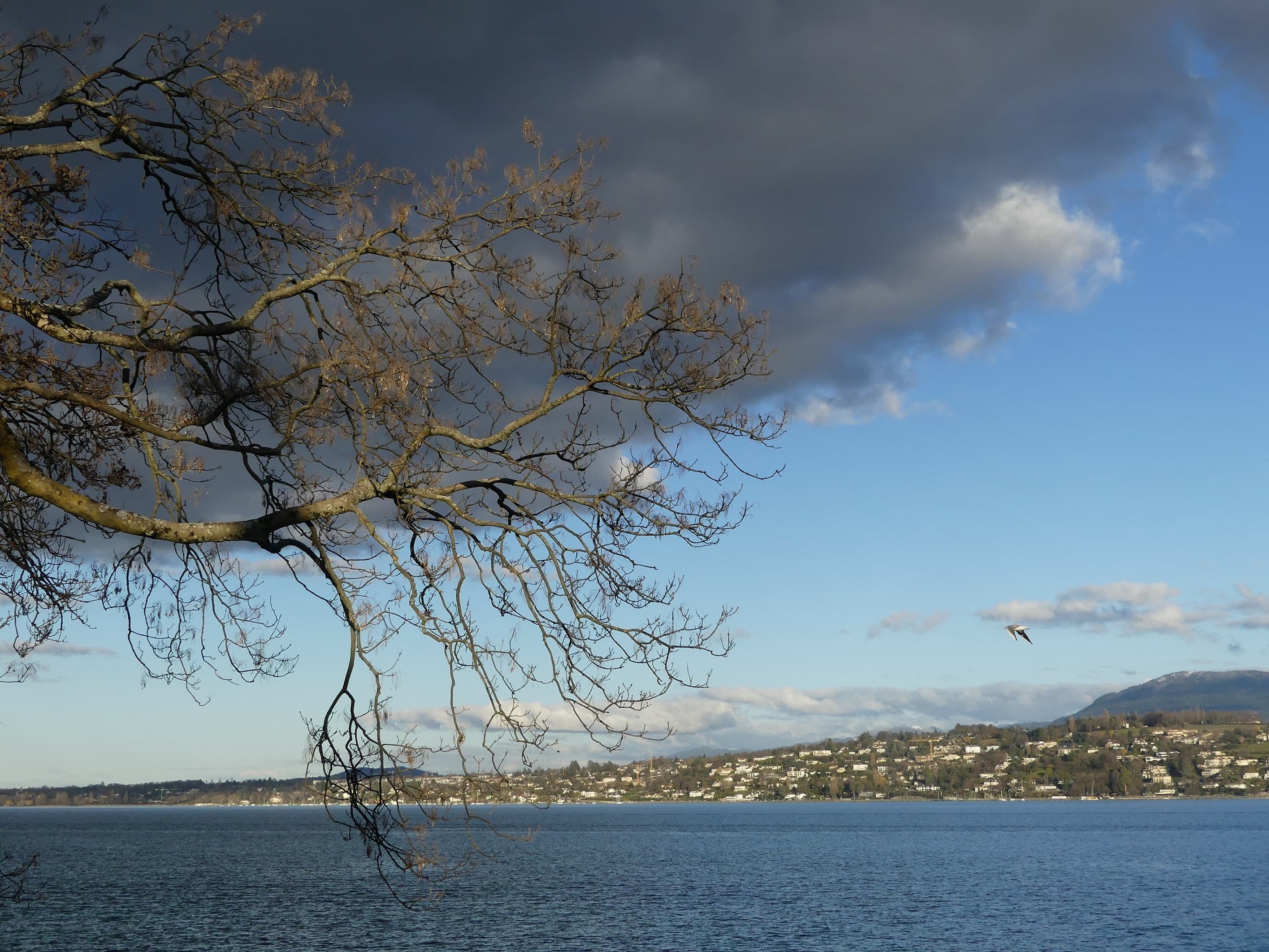 Ciel impétueux