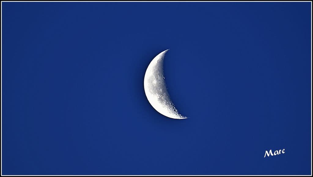 Bonjour Lune