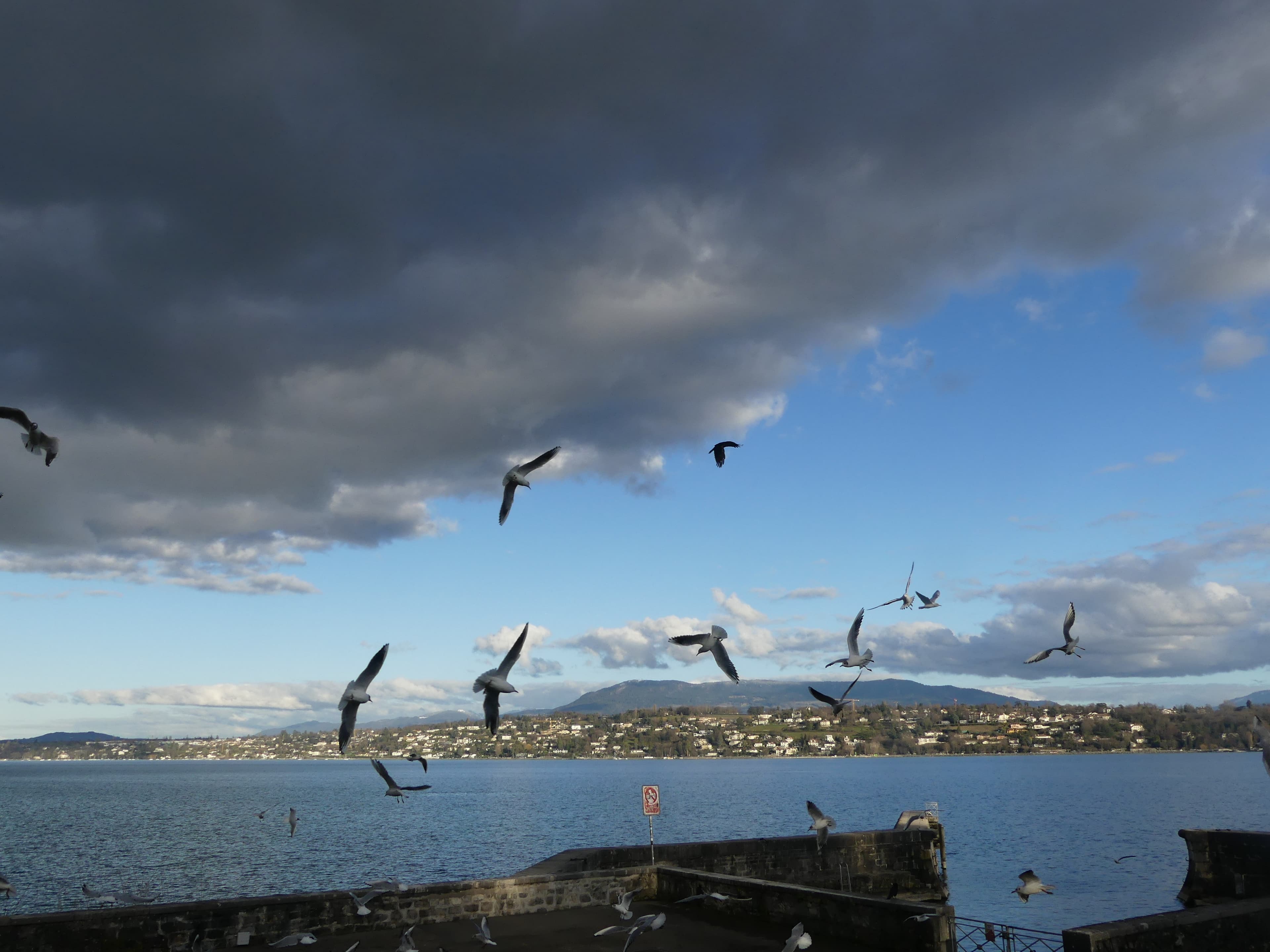 Sur fond de ciel tumultueux