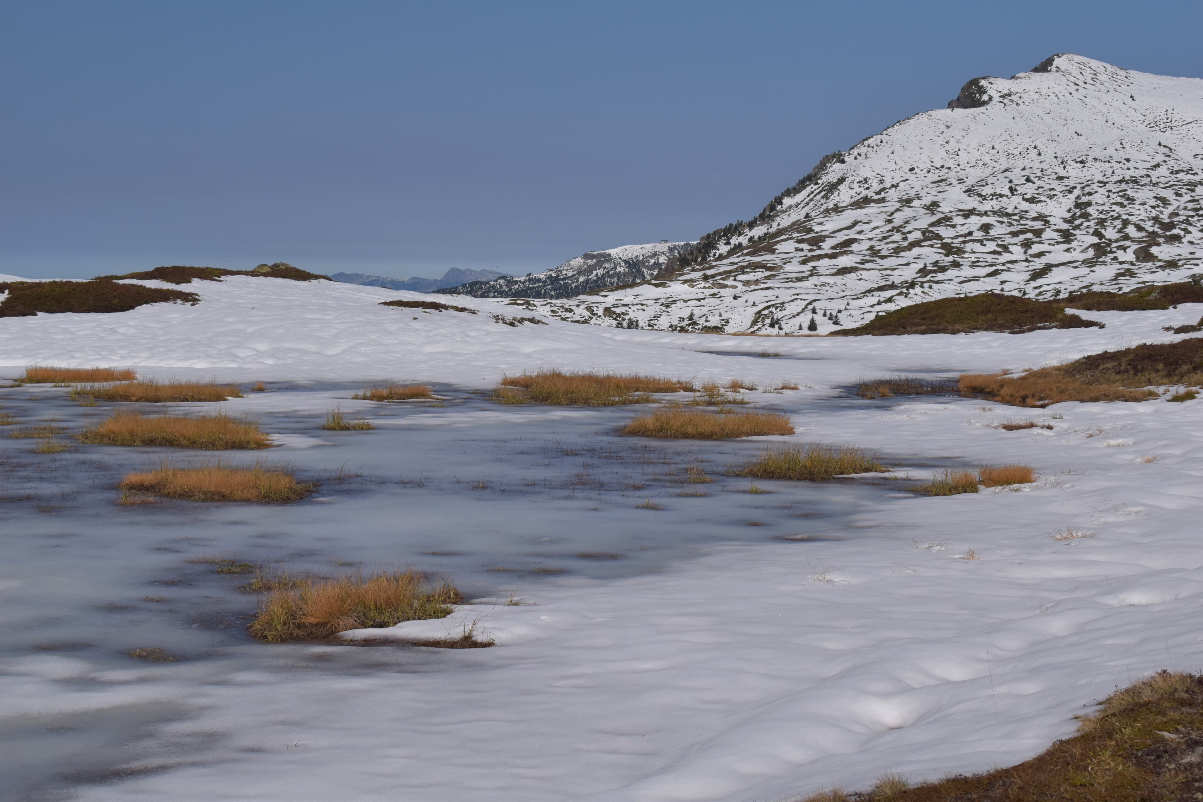 Neige de printemps