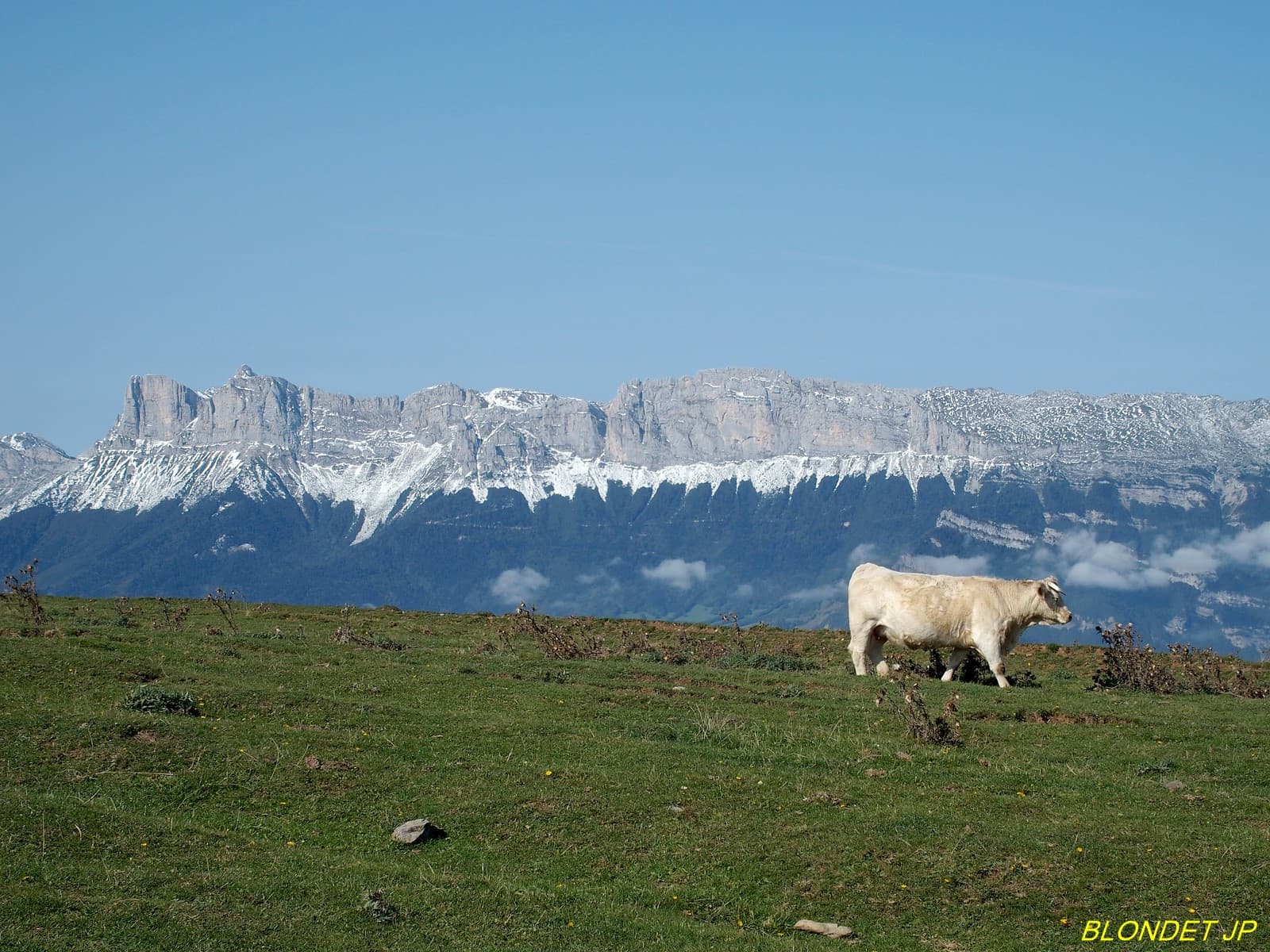 Vercors vu du Conest
