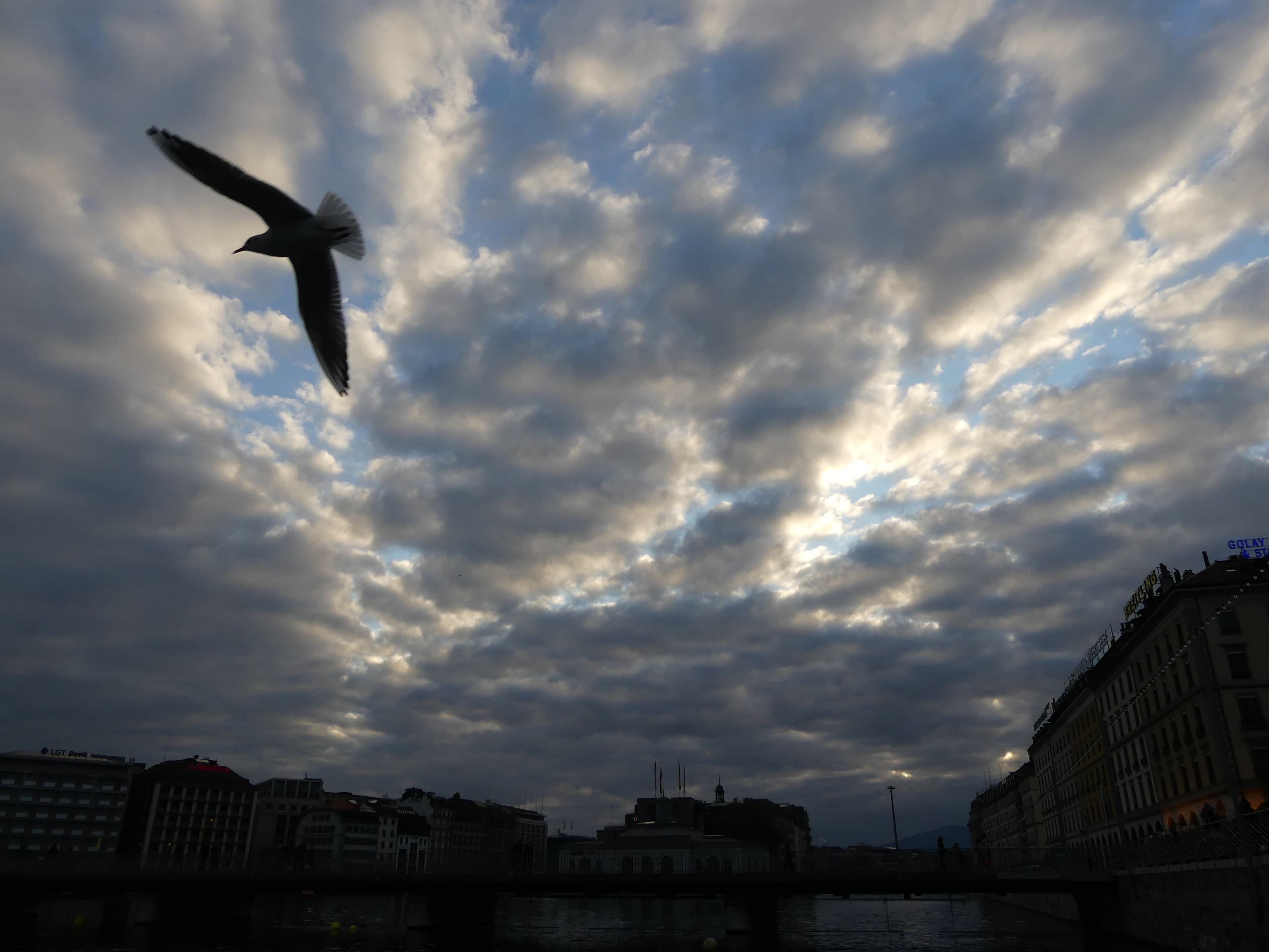 Genève, magnifique sous un ciel couvert