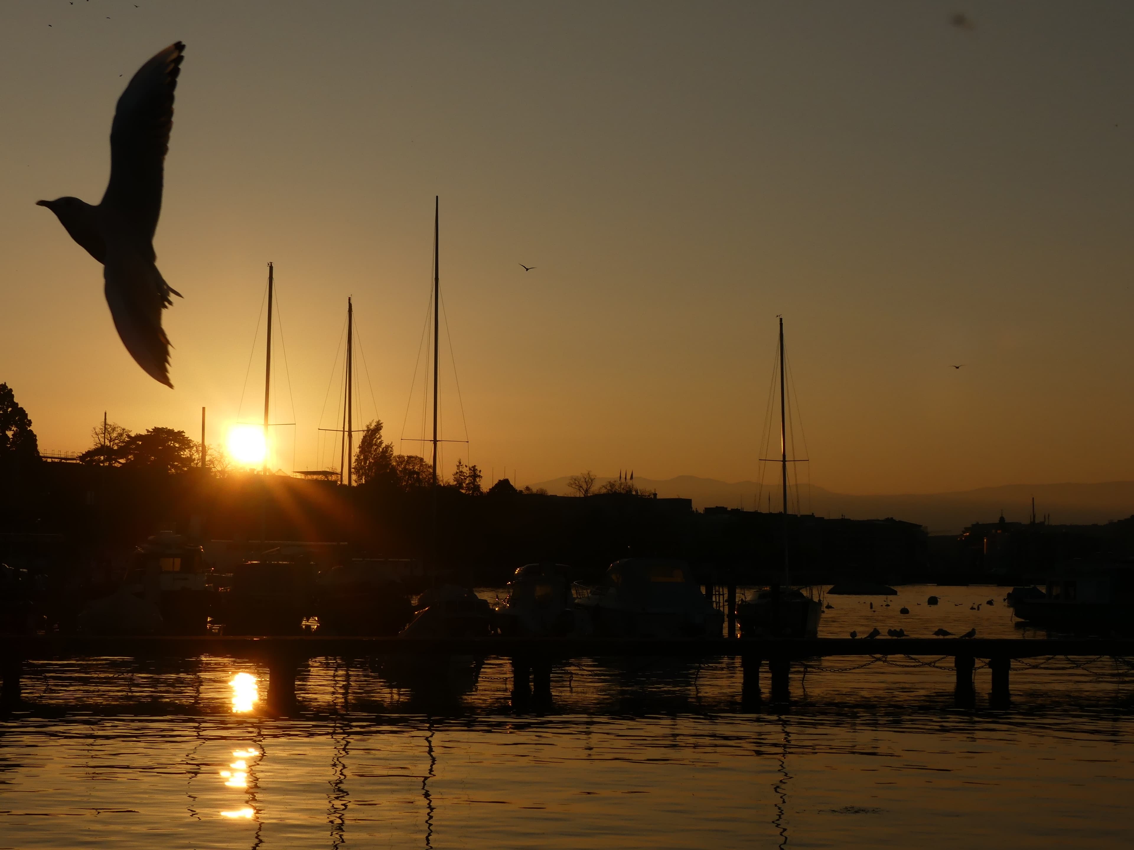 Soleil couchant sur la rade de Genève