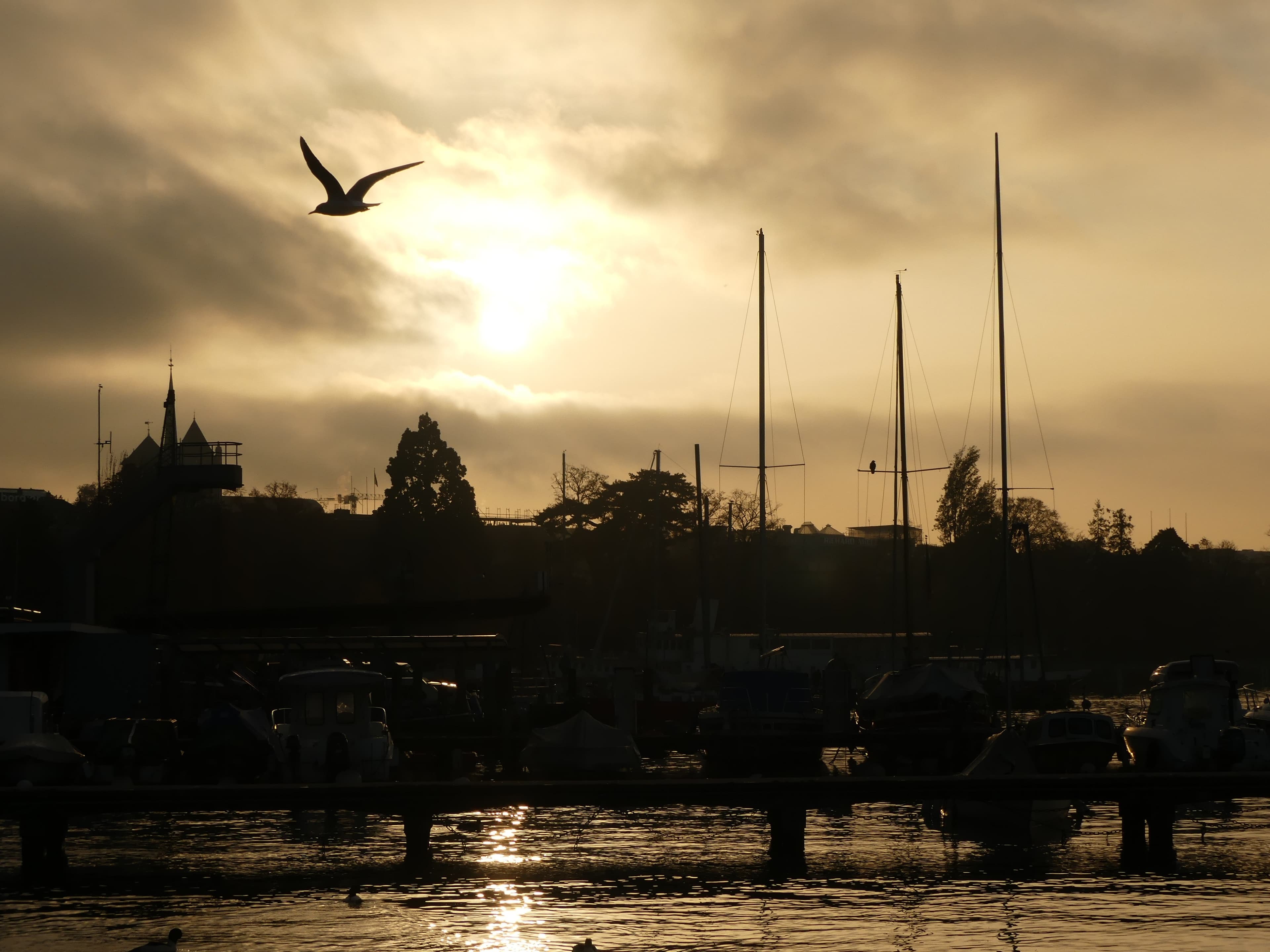 Coucher du soleil à Genève