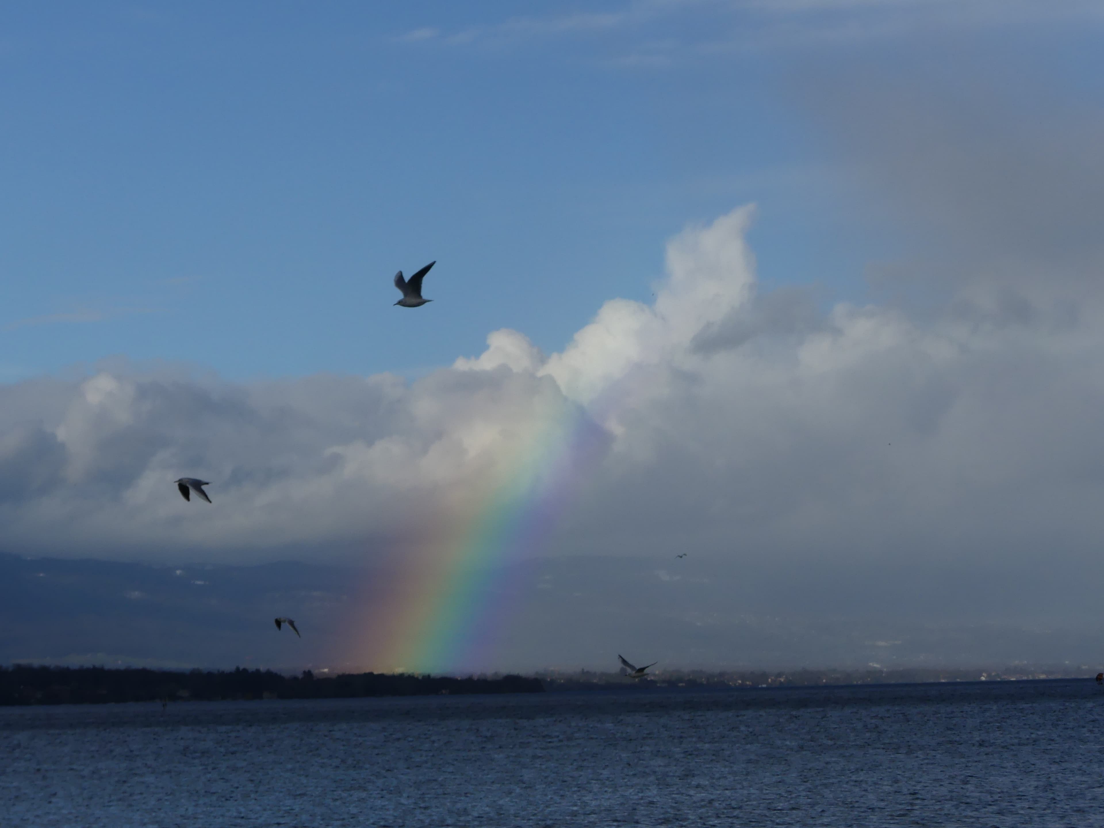 Sur fond d'arc-en-ciel