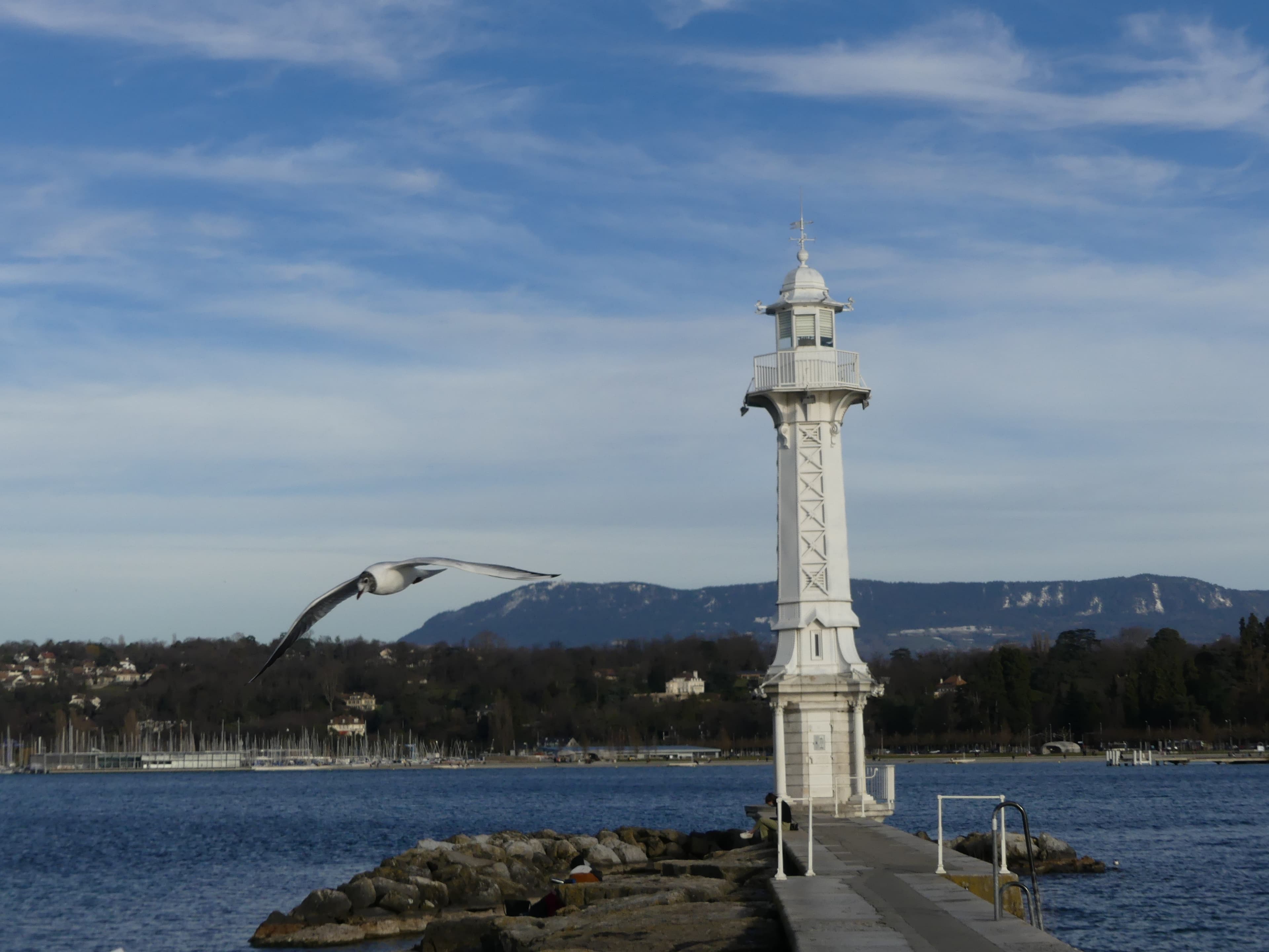 Le Phare des Paquis, tapi dans la rade