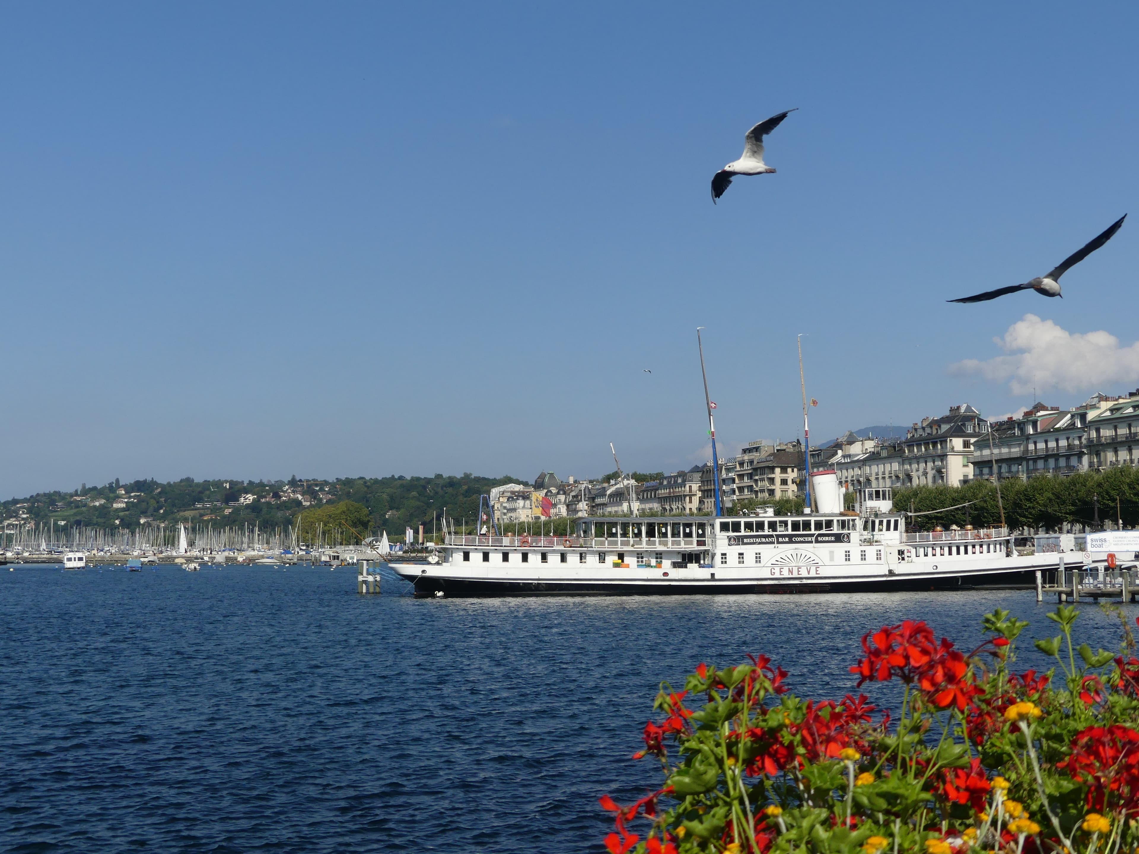 Rade de Genève, en toutes saisons, la magie opère...