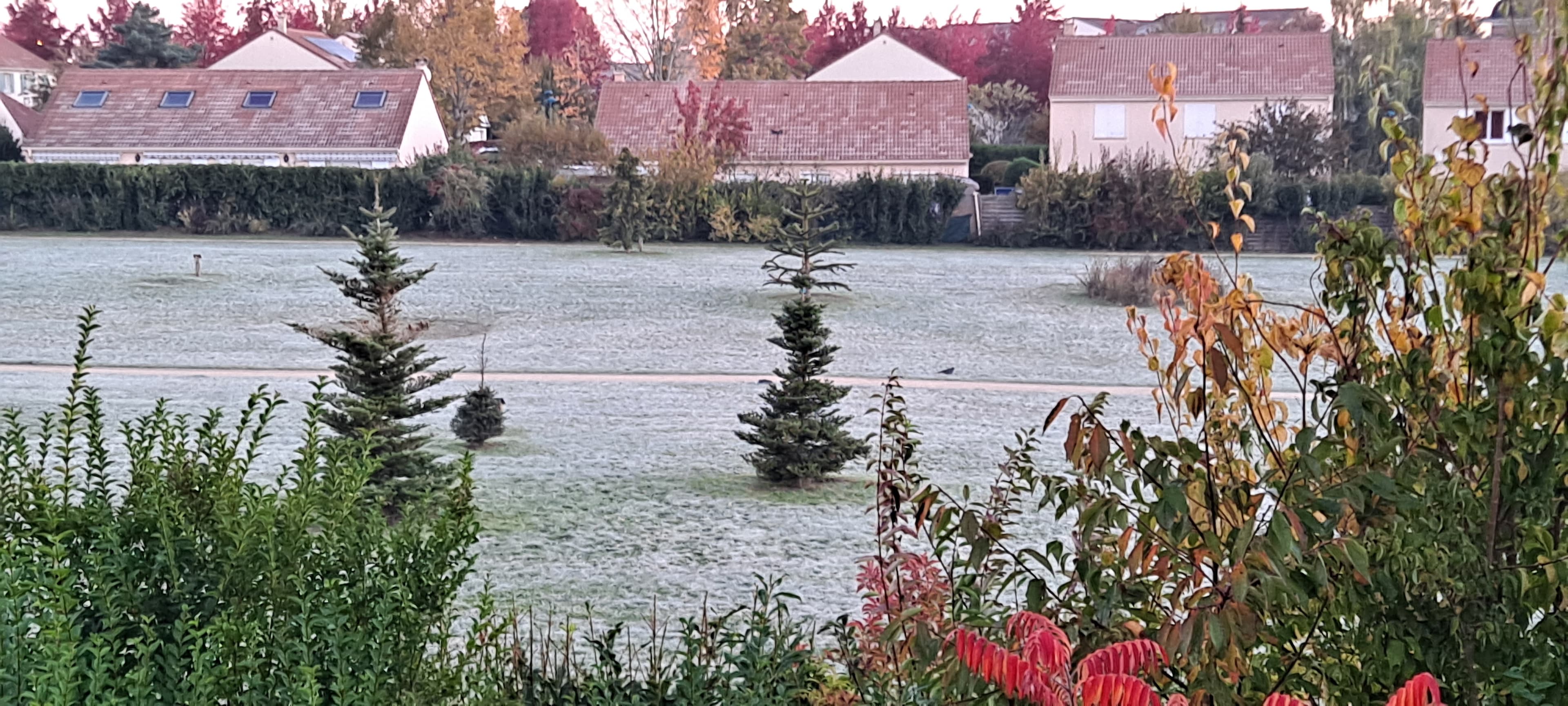 Première gelé au jardin des moissons