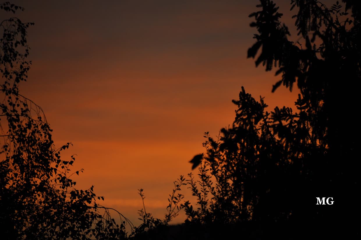 Soleil couchant et ombres chinoise !!!