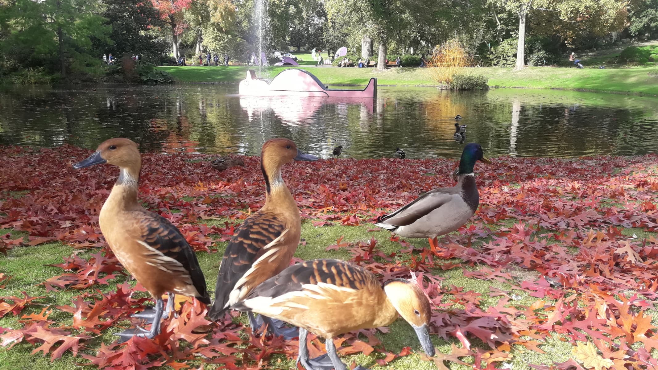 GLG. Balade au Jardin des Plantes.