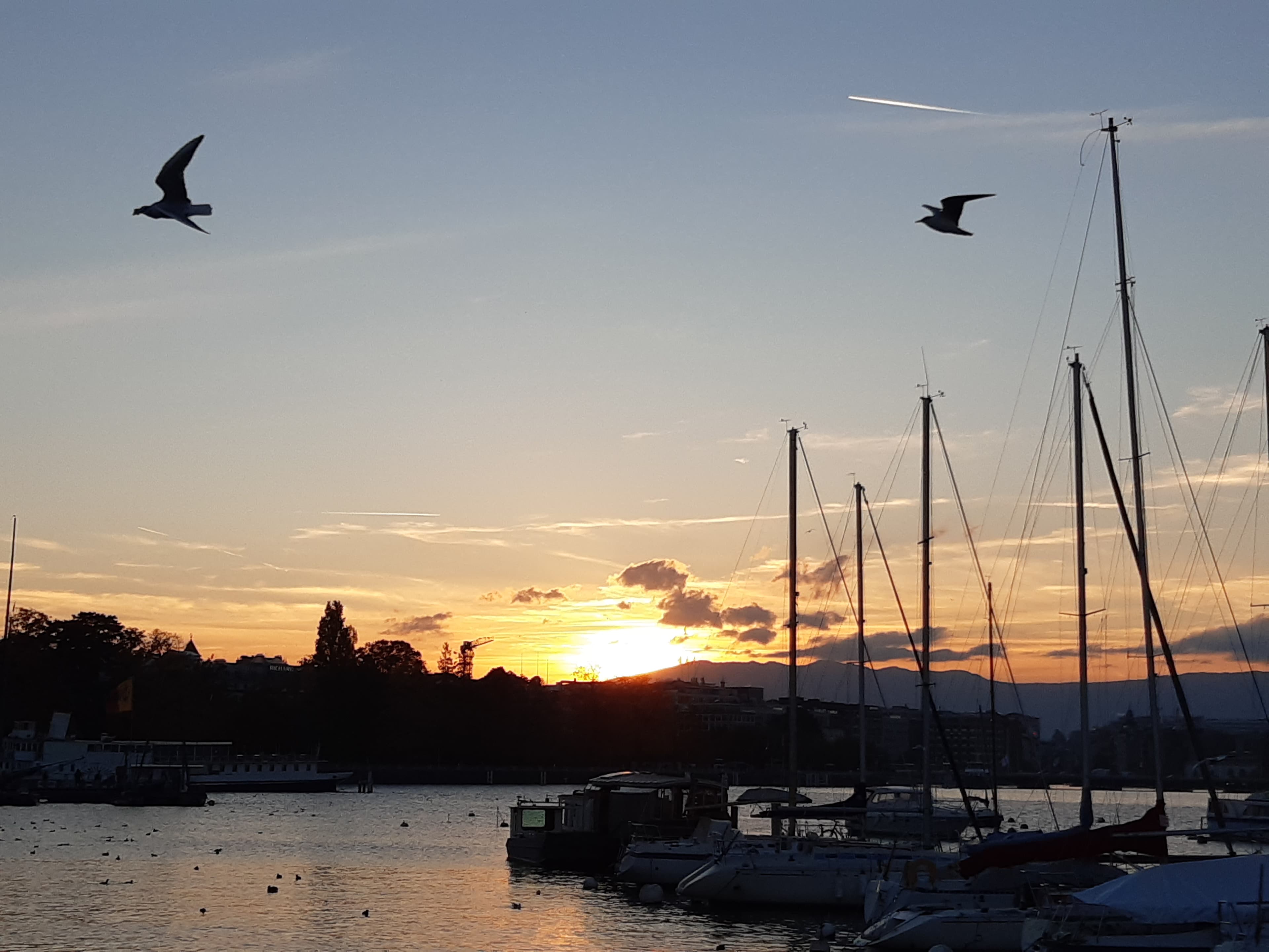 Lueurs crépusculaires sur la rade de Genève