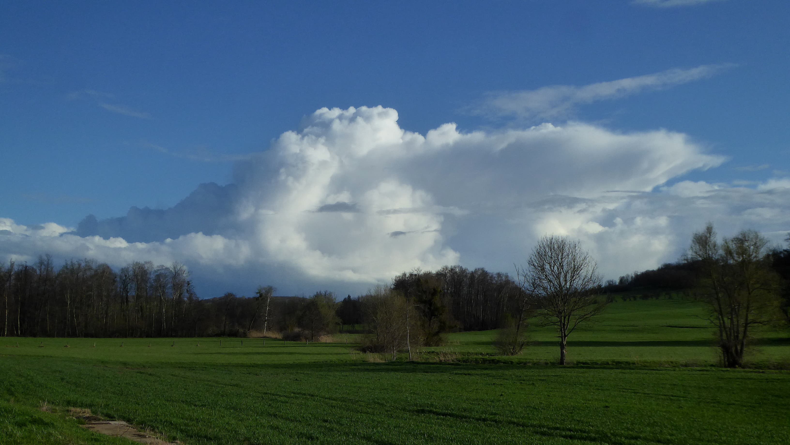 Cumulonimbus au loin