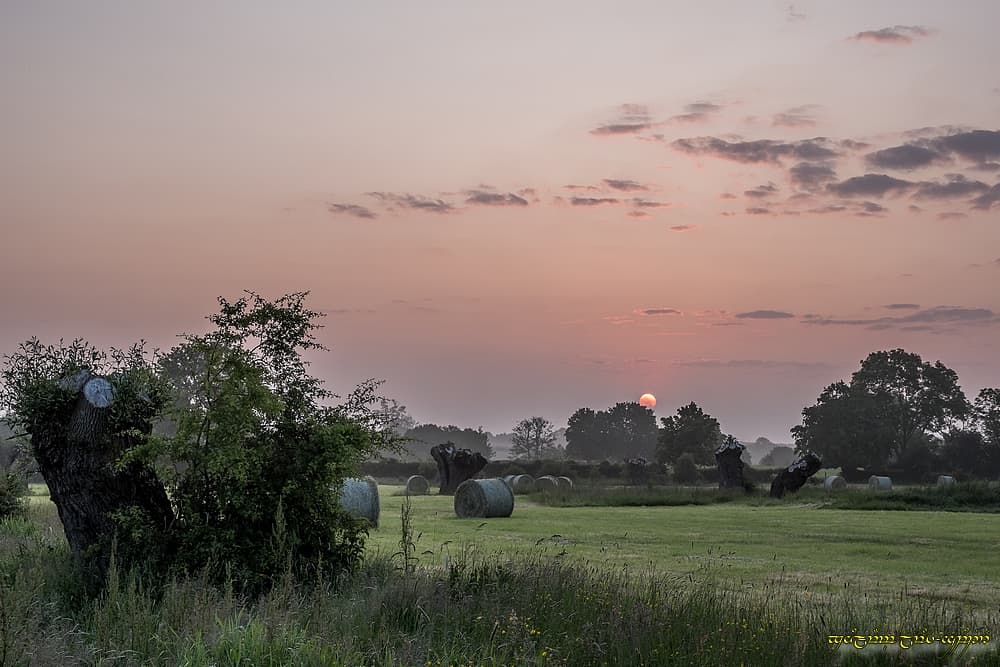 Bien filtré, pour commencer