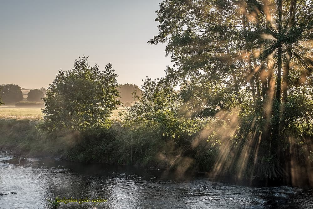 Les rayons près de la rivière
