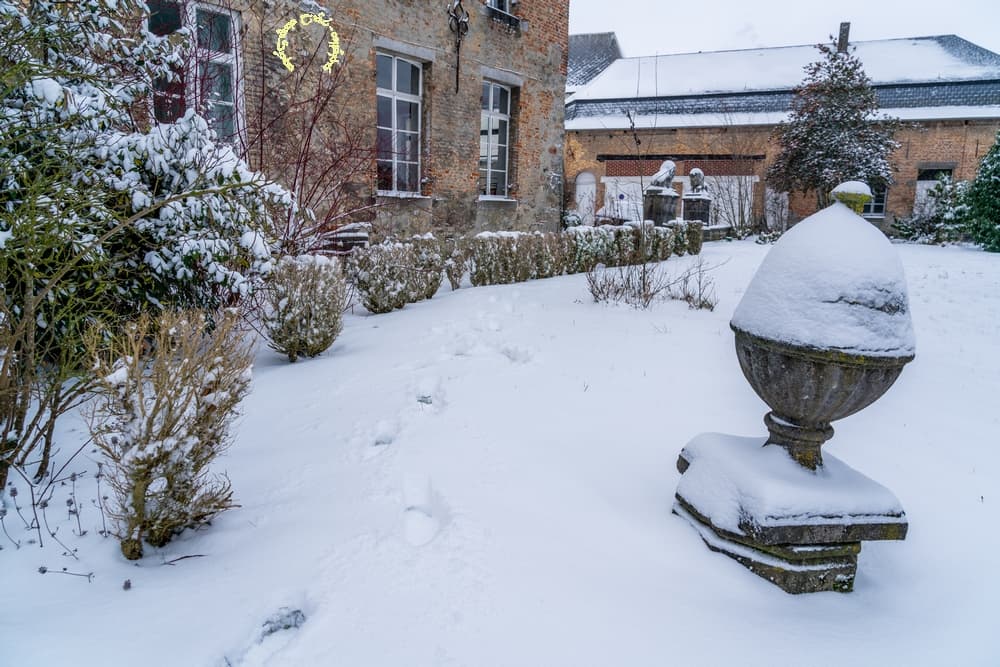 20 cm et empreintes de Yéti