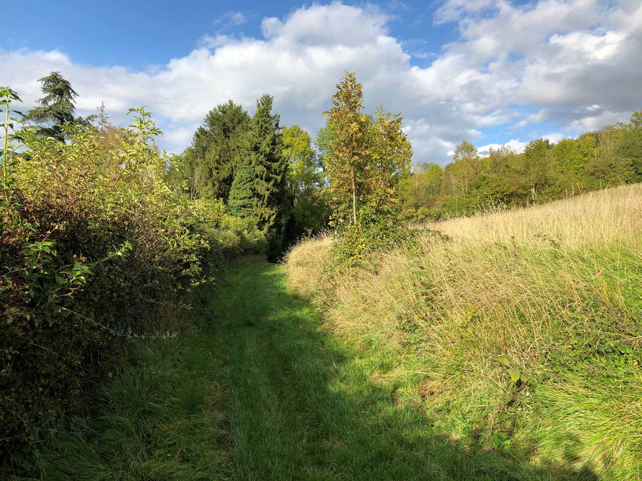 chemin-dherbe-dans-le-vexin