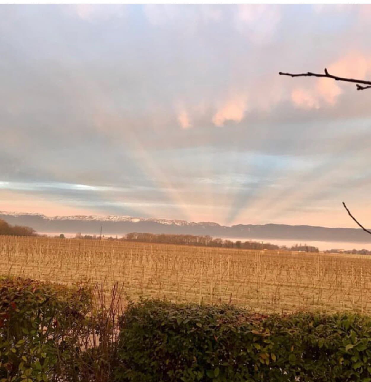 le-jura-un-matin-de-mars