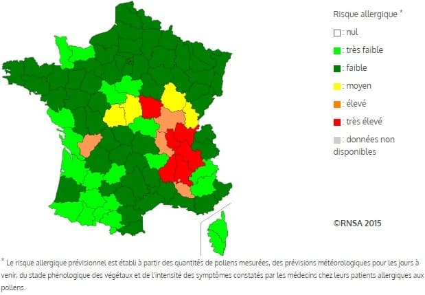 Image d'illustration pour Apogée des pollens d'ambroisie et des allergies associées