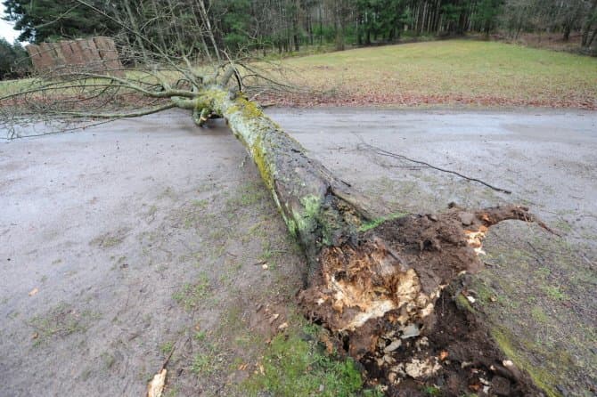 Image d'illustration pour Suivi de la dépression Tini - inondations en Bretagne