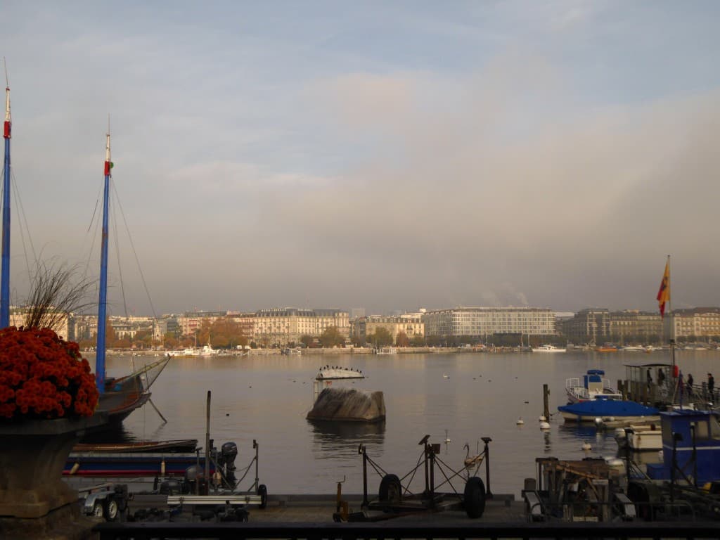 Le calme du matin