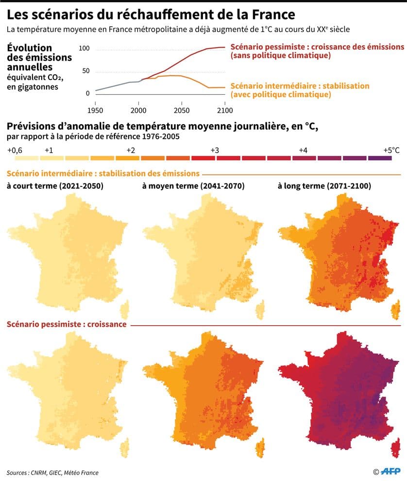 Image d'illustration pour Sécheresse et chaleur : Les forêts françaises dépérissent