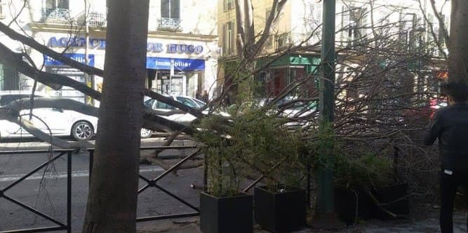 Image d'illustration pour Synthèse : tempête de mistral - tramontane, bise, burle et congère