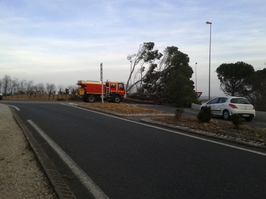 Image d'illustration pour Synthèse : tempête de mistral - tramontane, bise, burle et congère