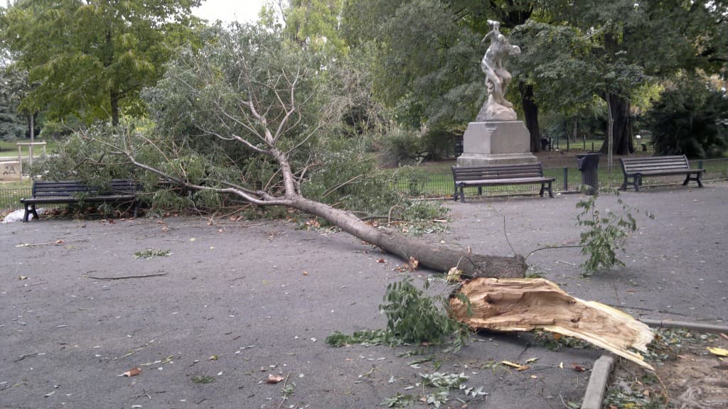 Image d'illustration pour BILAN OCTOBRE 2012 : doux, pluvieux et venteux...